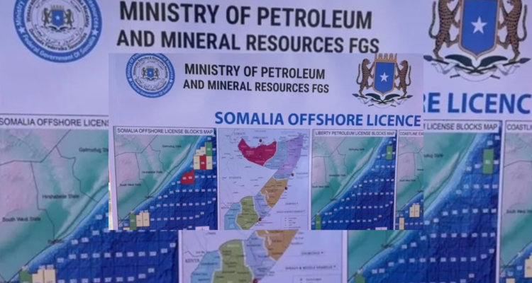 Somalia federal map controversy sparks tensions with Puntland and Hirshabelle regions