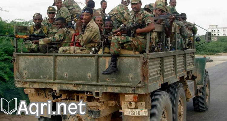 Ethiopian and Somali soldiers in a joint operation