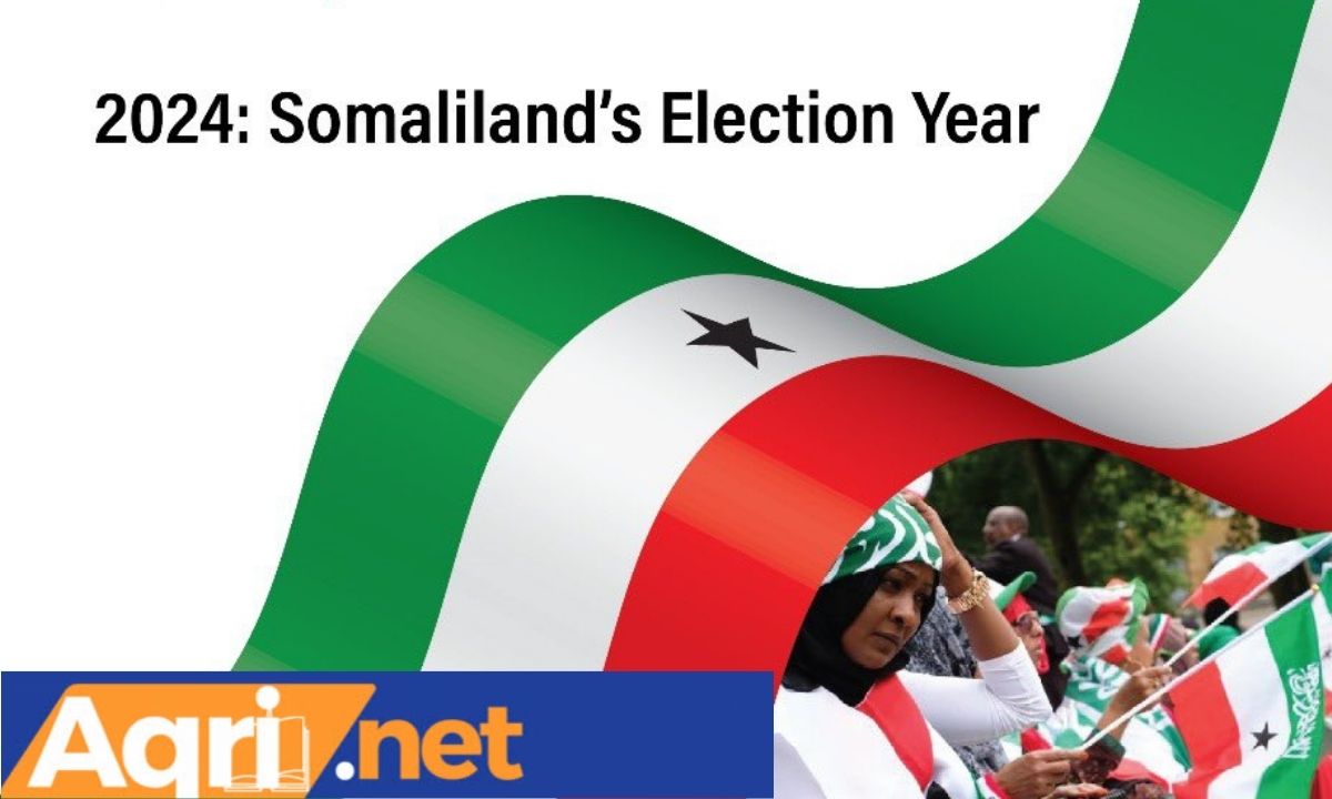 Somaliland Prepares for Landmark Election in Test of Democratic Commitment