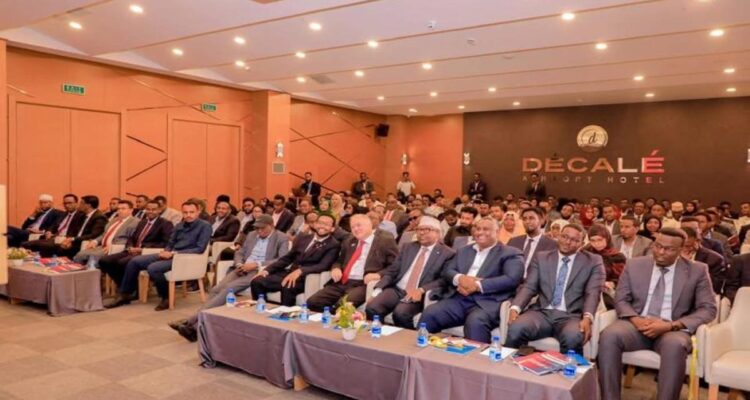 Somali-Norwegian Business Summit 2023 in Mogadishu